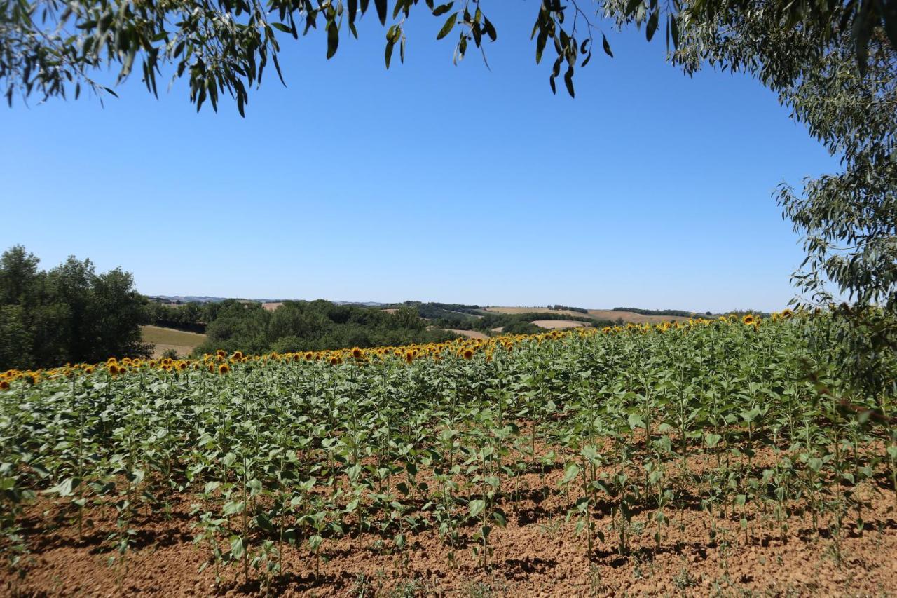 Le Clos Mirelie Gaujac  Kültér fotó